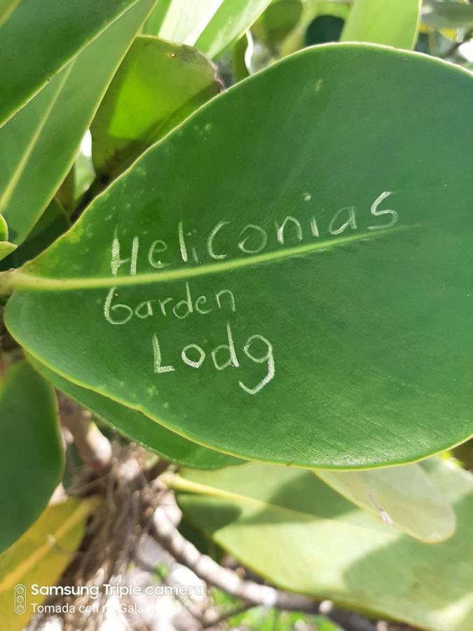 Garden Of Heliconias Lodge Drakes Bay Dış mekan fotoğraf